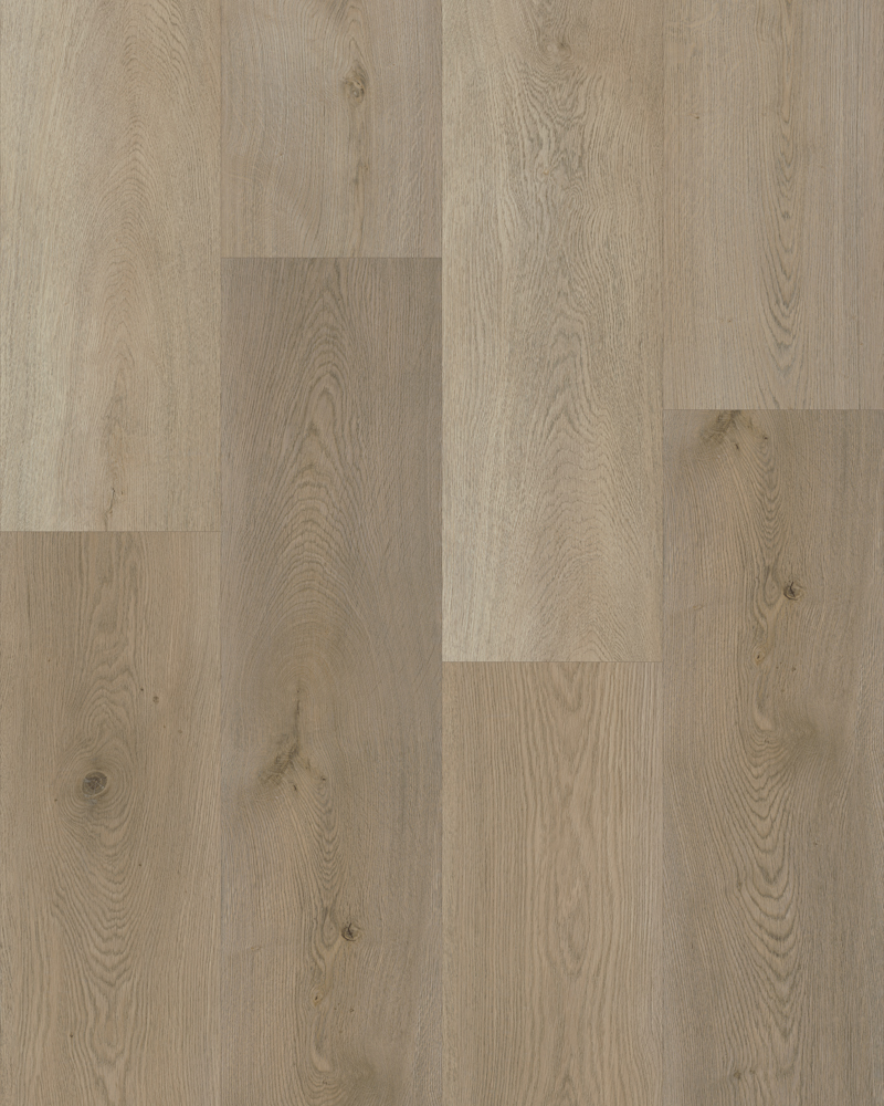 Beaver Brown - Image 3
