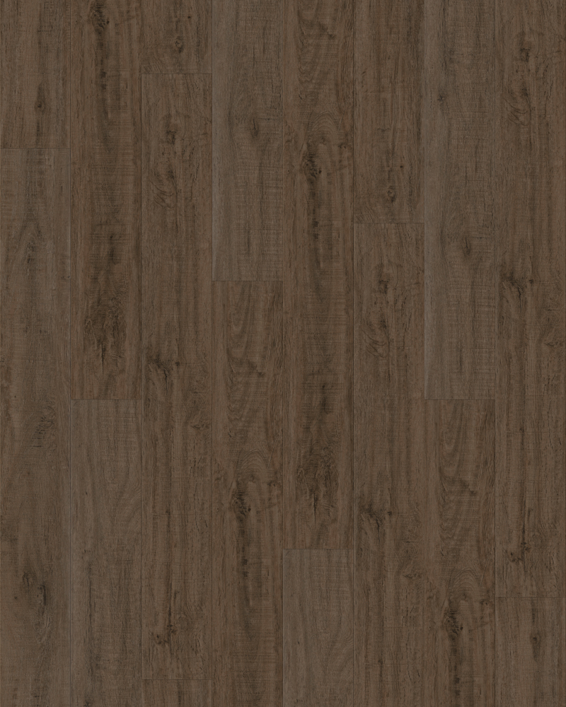 Dark Roast - Image 3