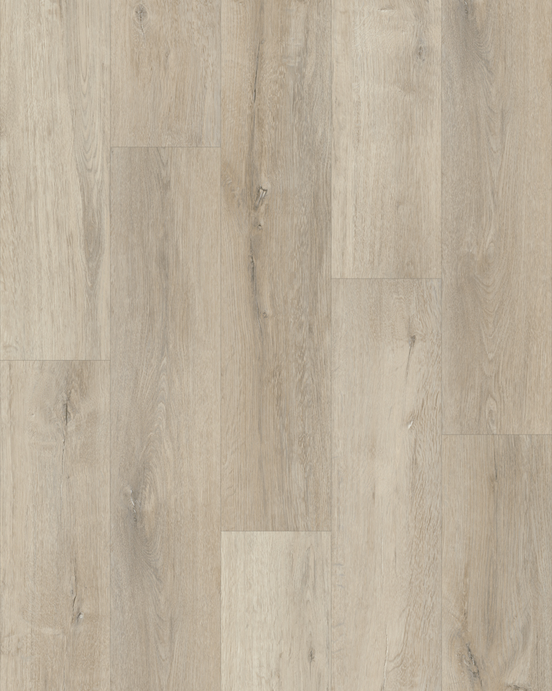 Tundra White - Image 3