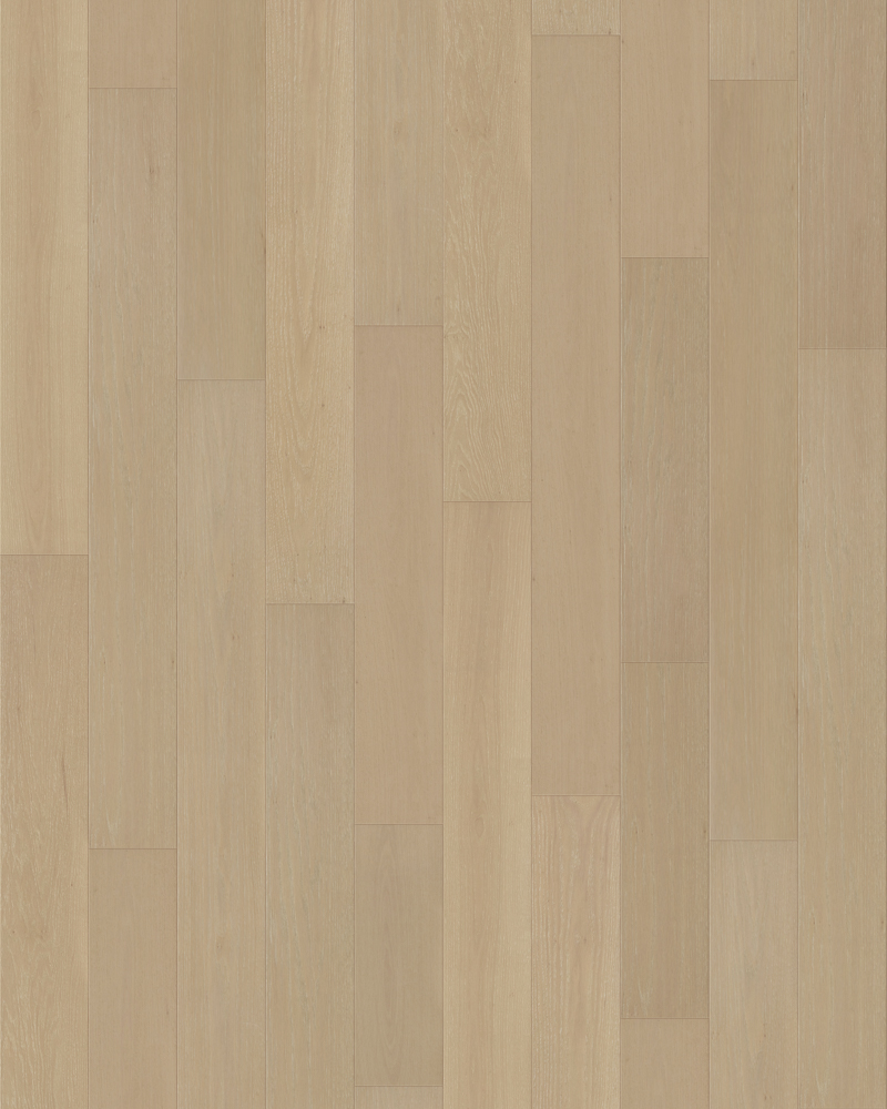 Bisque - Image 4